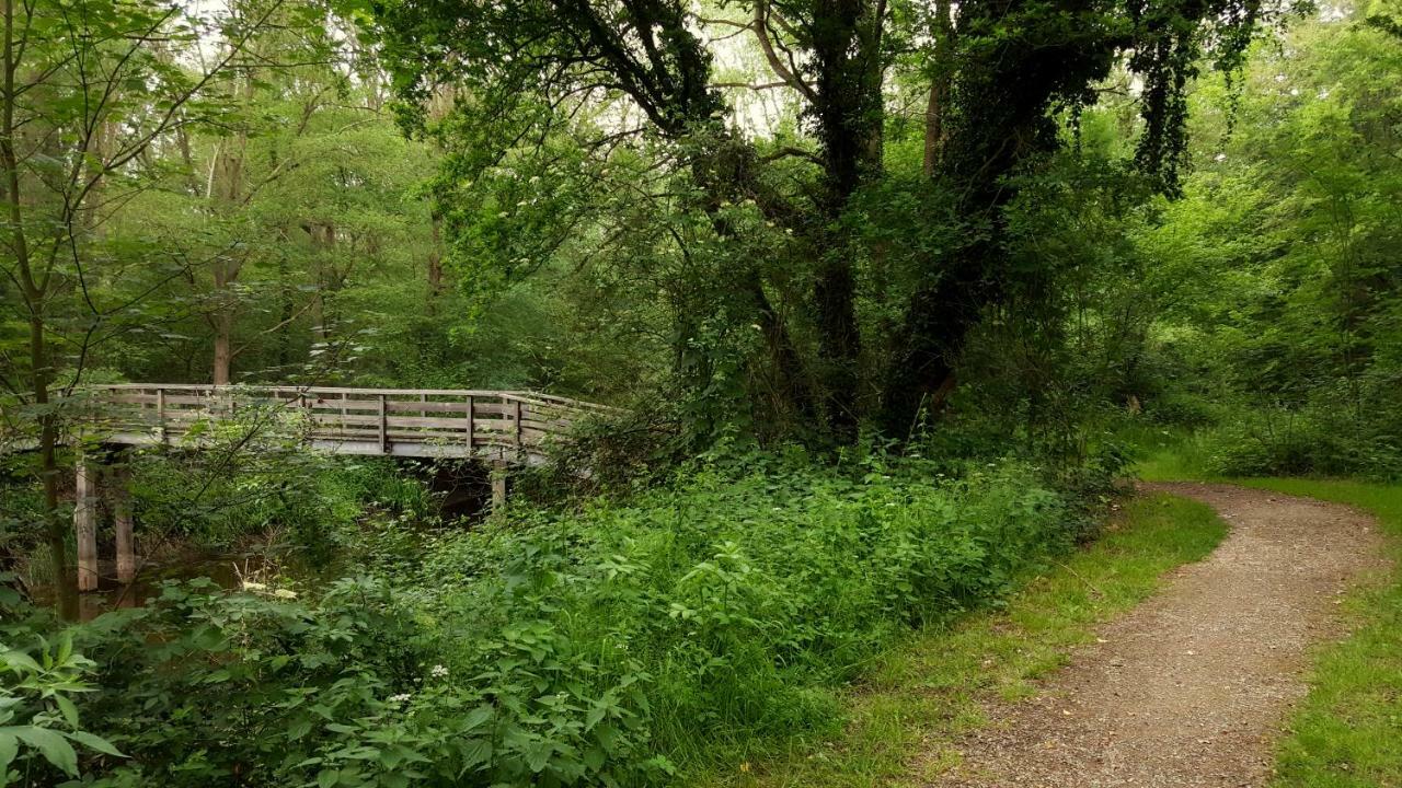 Fewo Grafschaft Nordhorn Eksteriør billede